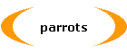 parrots